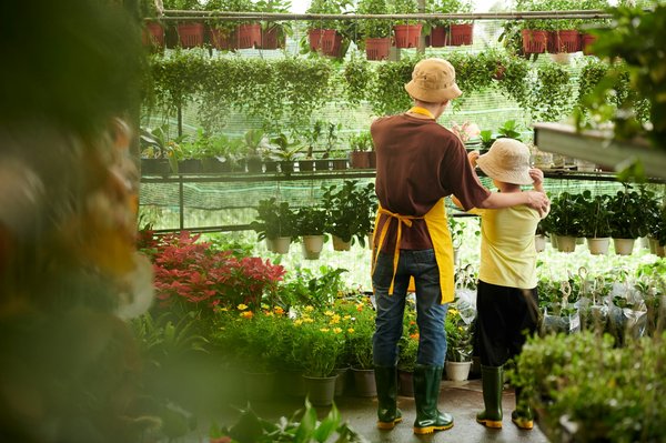 Which types of indoor plants are best suited for UK homes with low natural light?